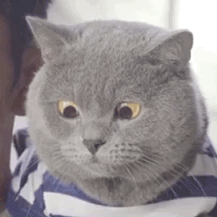 微信图片_20190404115238.gif