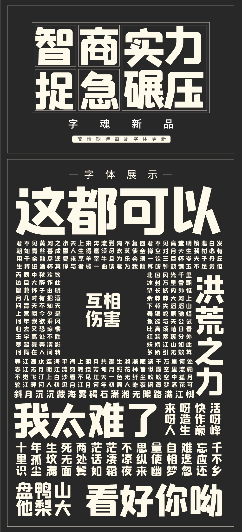 综艺.jpg