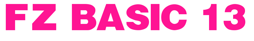 FZ BASIC 13预览图片