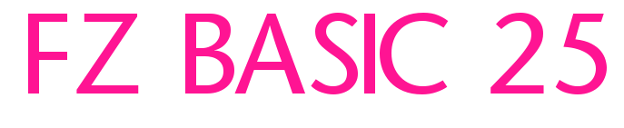 FZ BASIC 25预览图片
