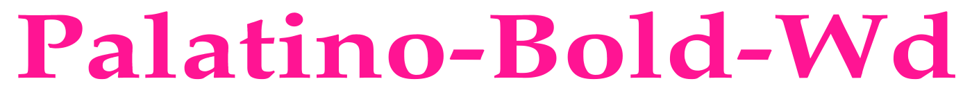 Palatino-Bold-Wd预览图片