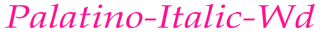Palatino-Italic-Wd预览图片