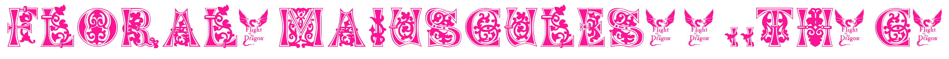 Floral-Majuscules,-11th-c-预览图片