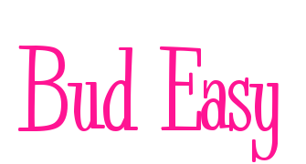 Bud Easy预览图片