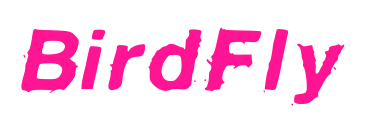 BirdFly