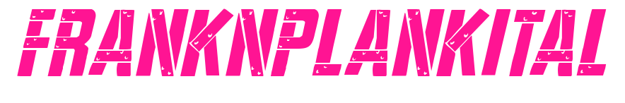 franknplankital预览图片