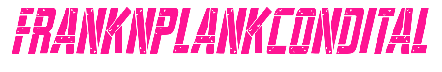 franknplankcondital预览图片