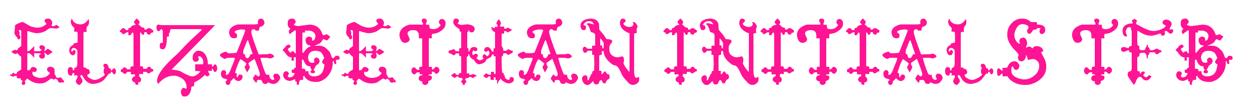 Elizabethan-Initials-tfb预览图片