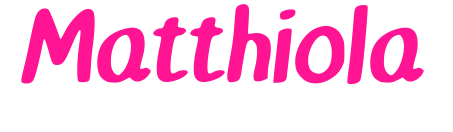 Matthiola预览图片