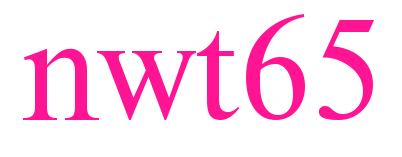 nwt65预览图片