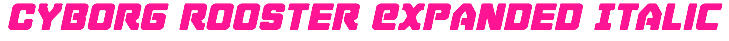 Cyborg Rooster Expanded Italic预览图片