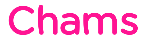 Chams 预览图片
