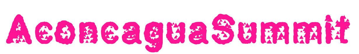 AconcaguaSummit