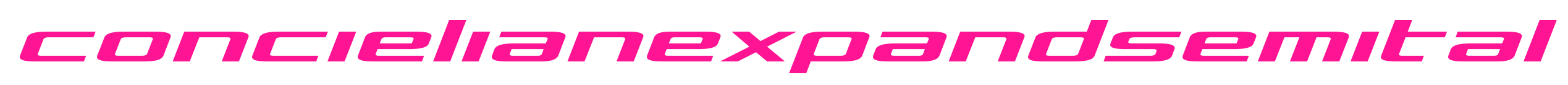 concielianexpandsemital预览图片