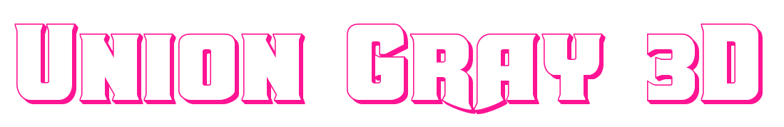 Union Gray 3D