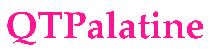 QTPalatine预览图片