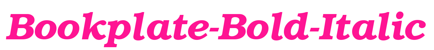Bookplate-Bold-Italic预览图片