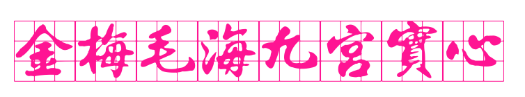 金梅毛海九宮實心预览图片