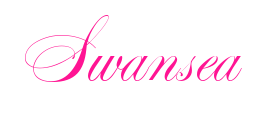 Swansea预览图片