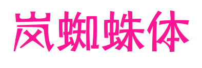 岚蜘蛛体