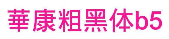 華康粗黑体b5预览图片