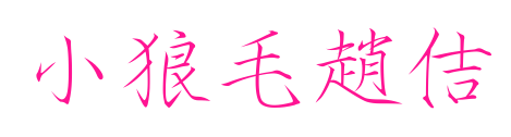 小狼毛趙佶预览图片