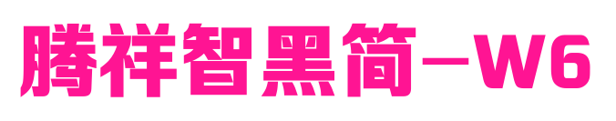 腾祥智黑简-W6