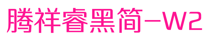 腾祥睿黑简-W2预览图片