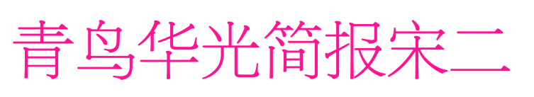 青鸟华光简报宋二预览图片
