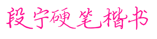 段宁硬笔楷书预览图片