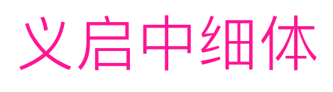 义启中细体预览图片