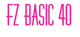 FZ BASIC 40预览图片