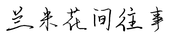 兰米花间往事