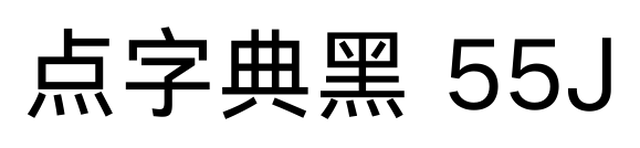 点字典黑 55J
