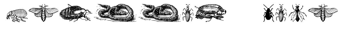 Grissom Four预览图片