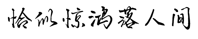 恰似惊鸿落人间预览图片
