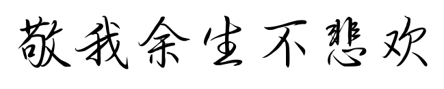 敬我余生不悲欢预览图片