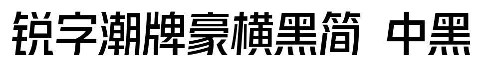 锐字潮牌豪横黑简 中黑