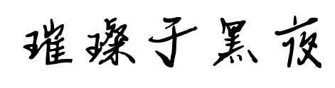 璀璨于黑夜预览图片