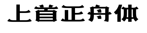 上首正舟体预览图片