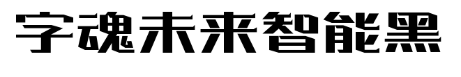 字魂未来智能黑