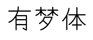 有夢體