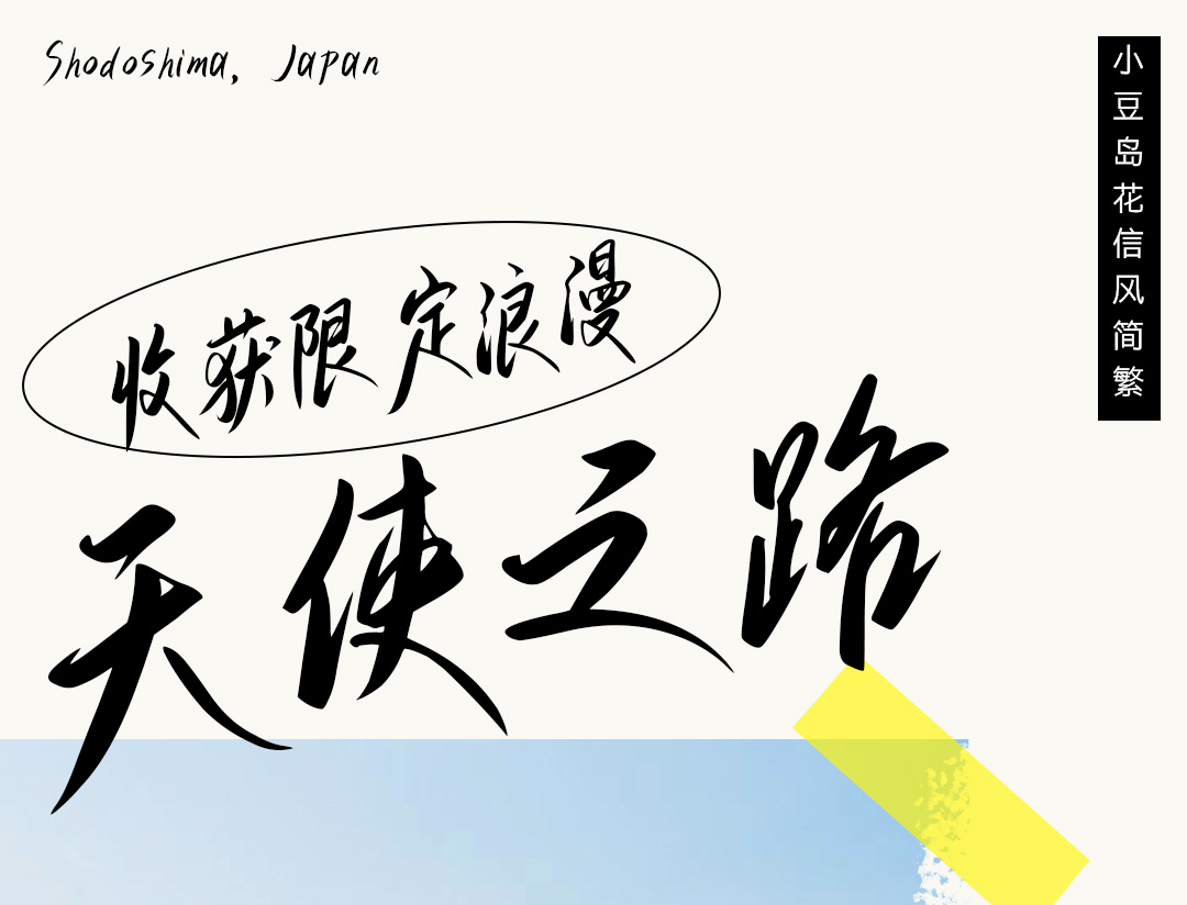 未标题-2.jpg